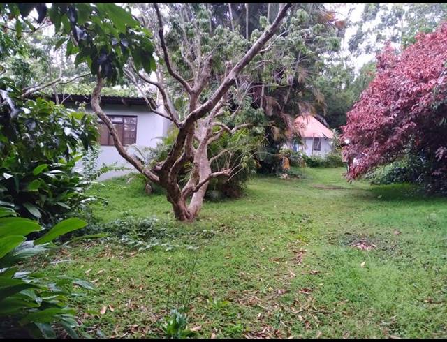 FARM FOR SALE IN OSLO BEACH